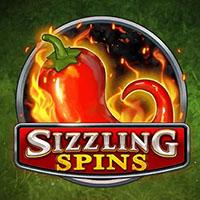 Playtech slot